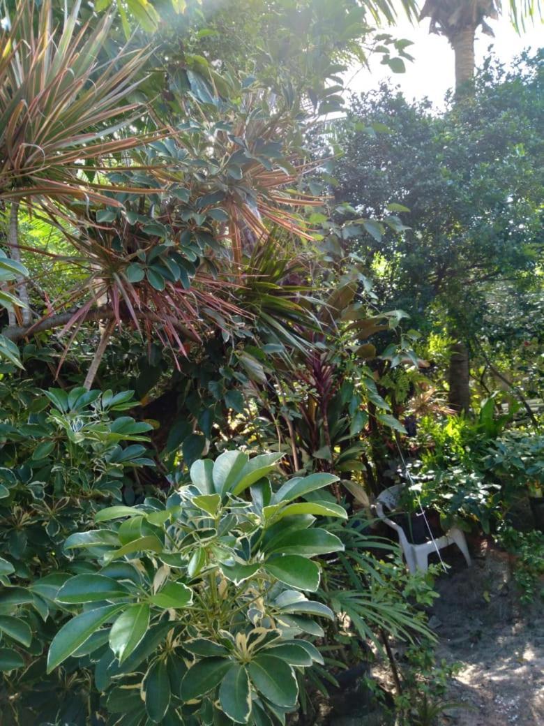 Hospedaria D'Maria Salvador Exteriör bild